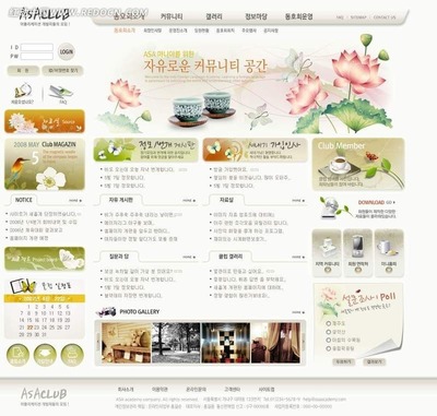 韓國(guó)ASA俱樂(lè)部網(wǎng)站PSD模版 打造動(dòng)感活力的專(zhuān)業(yè)網(wǎng)頁(yè)與網(wǎng)站設(shè)計(jì)